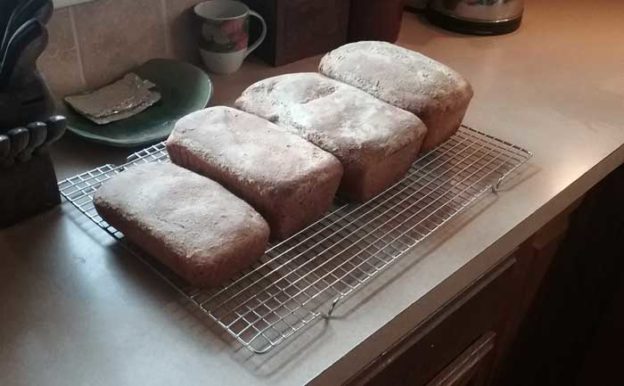 photo of loaves of fresh-baked, homemade bread